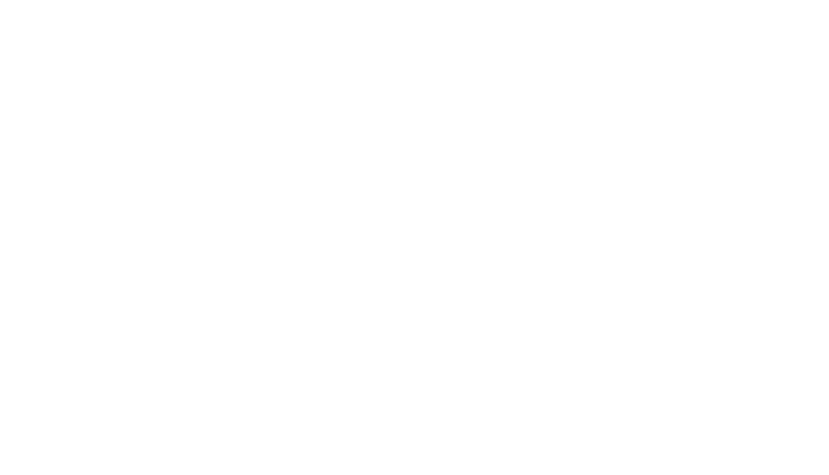light logo